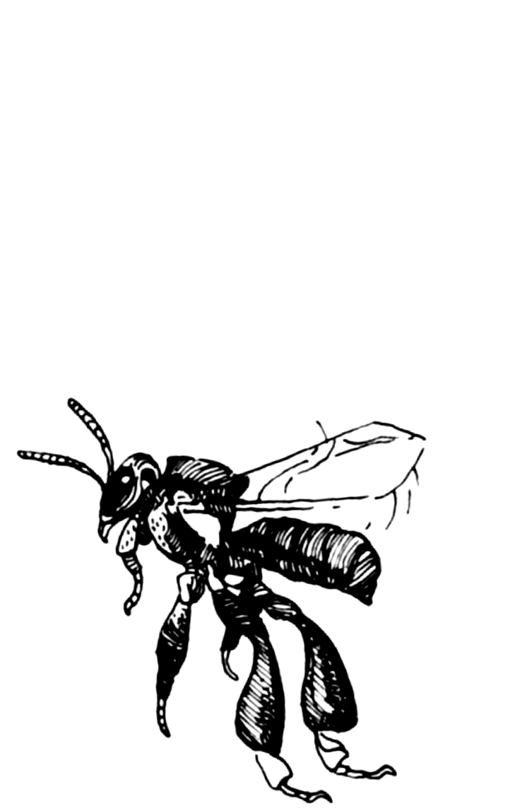 Tumbuh, mandiri, sejahtera